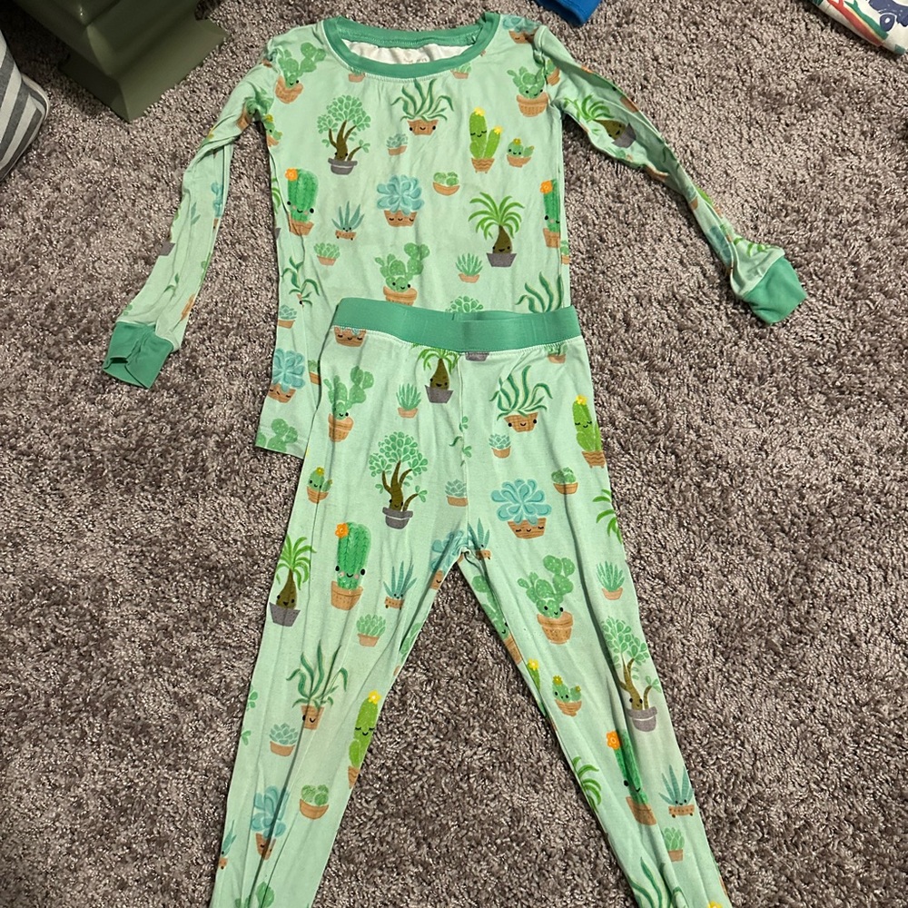 Little Sleepies Succulent Pjs 3T